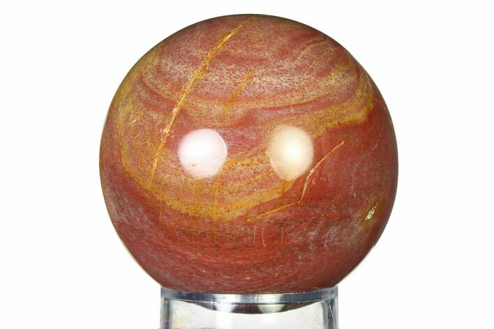 Colorful Petrified Wood (Araucaria) Sphere - Madagascar #317311